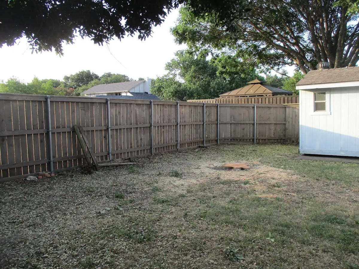 Cleared yard after professional tree removal in Ridley Park